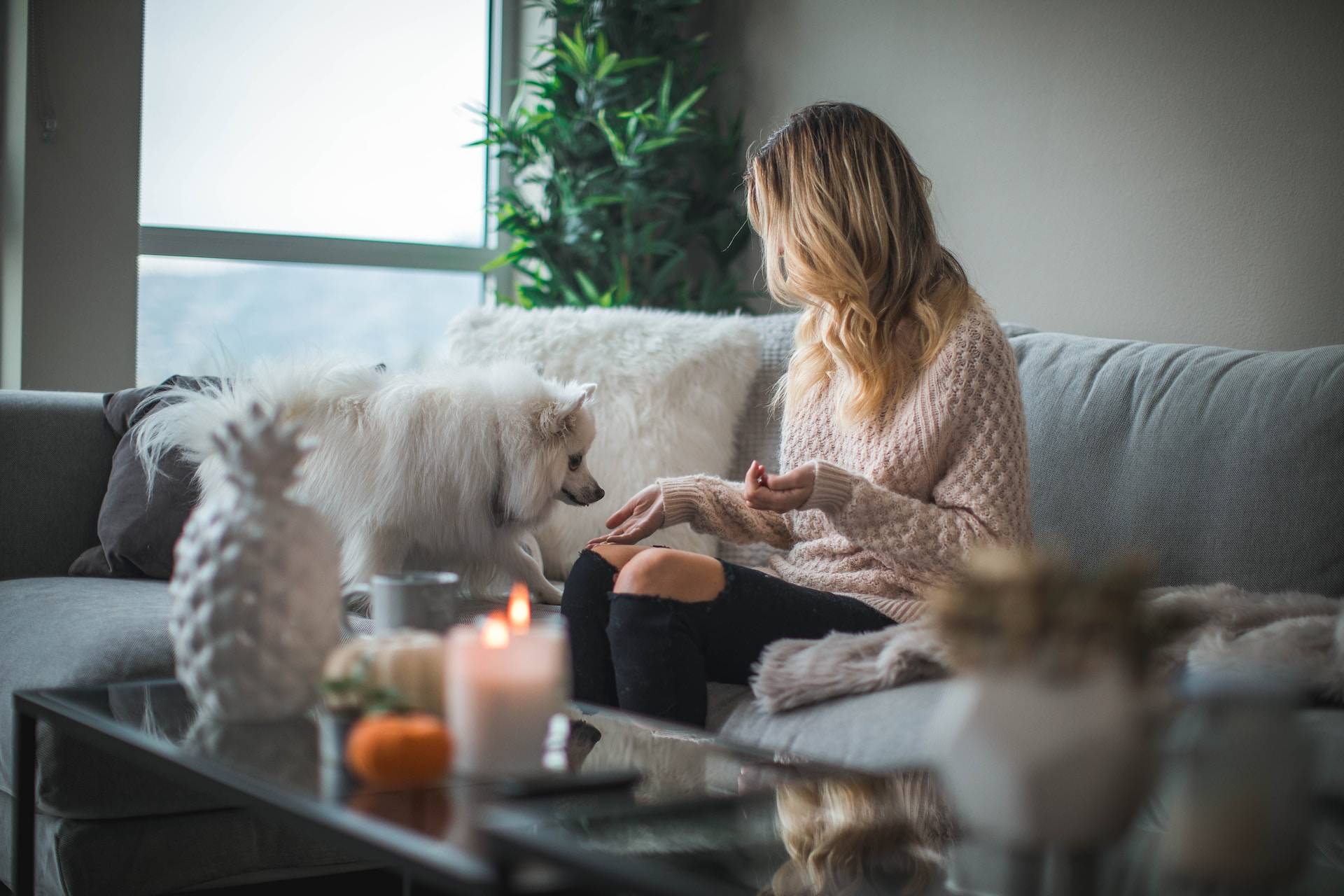 Kvinna sitter i en soffa med en hund bredvid