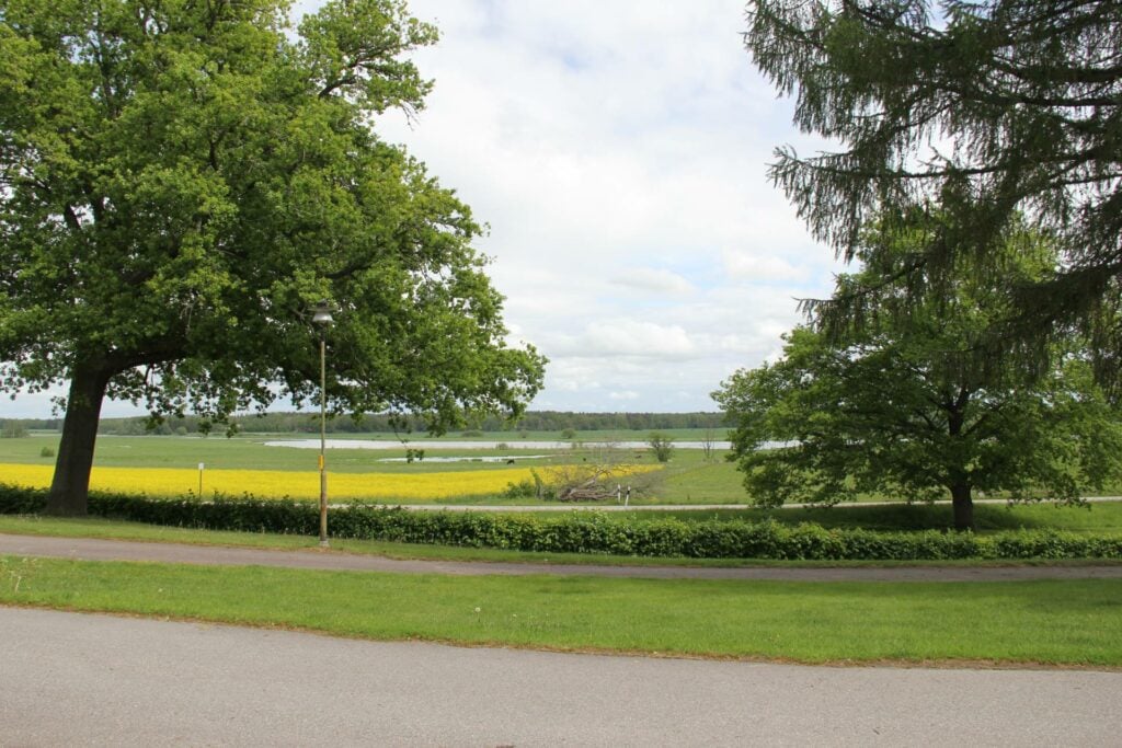 Utsikt från lägenheter mot en stor grön äng