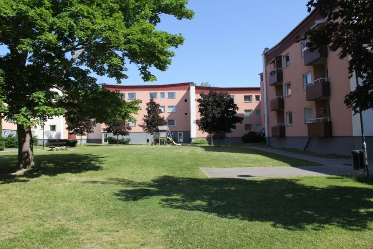 Grönyta med ett stort träd och tre lägenhetshus runtom