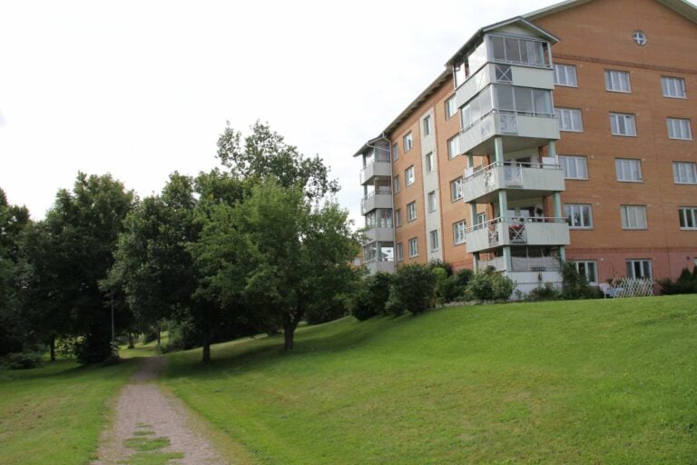 Grönyta med träd och lägenhetshus i bakgrund i området Knektbacken