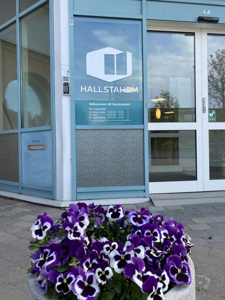 Blå blommor i kruka vid entré